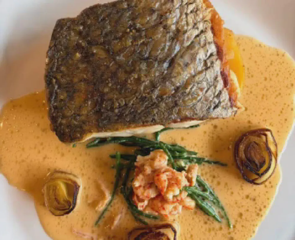 04-salmon-dish.webp